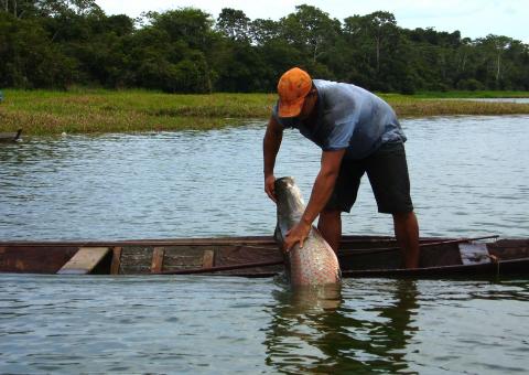 Consultores do Banco Mundial avaliam projetos do Governo do Estado